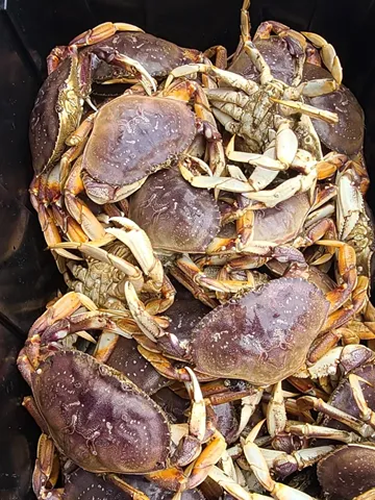 Crabbing