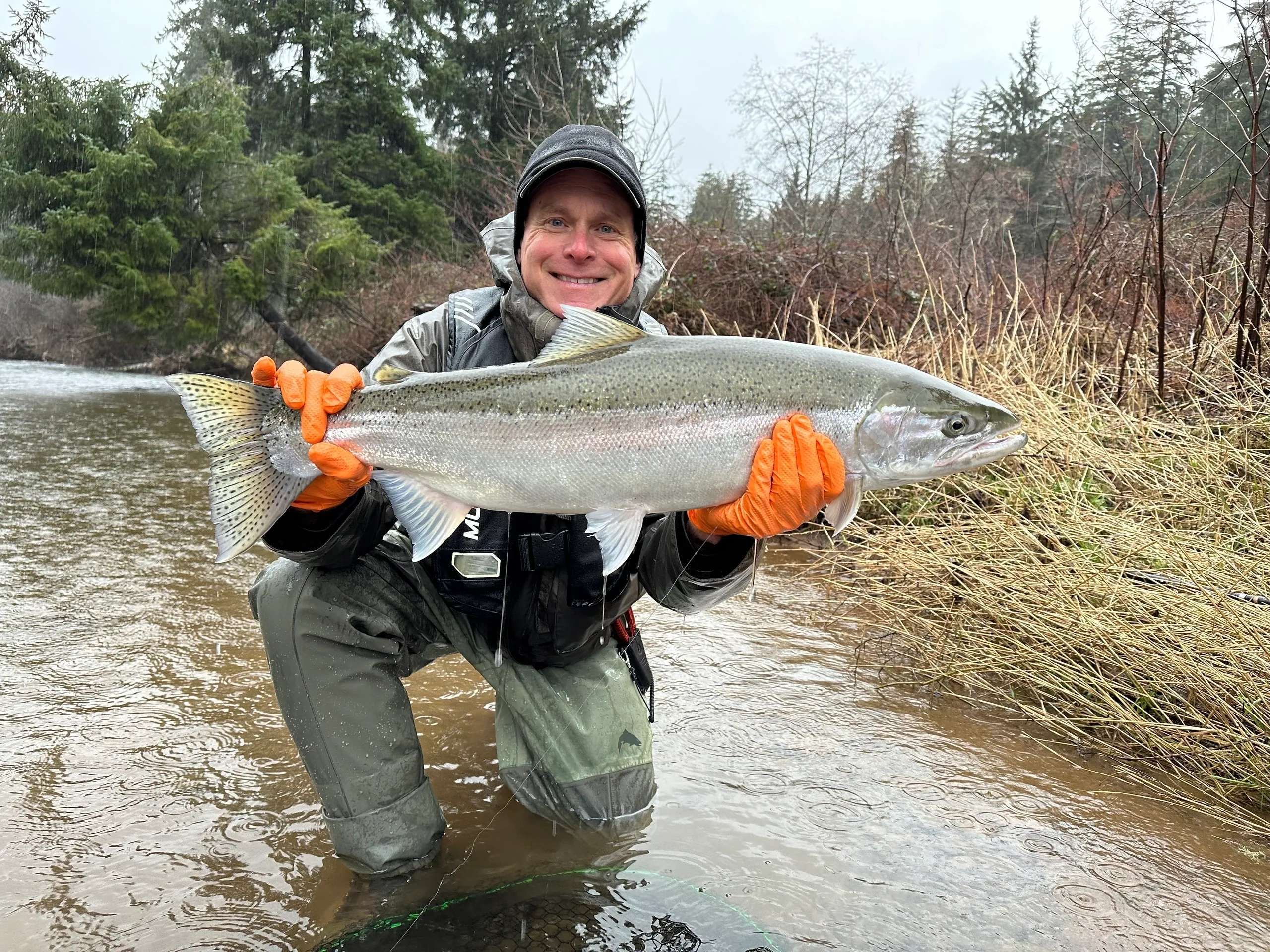 Winter Steelhead